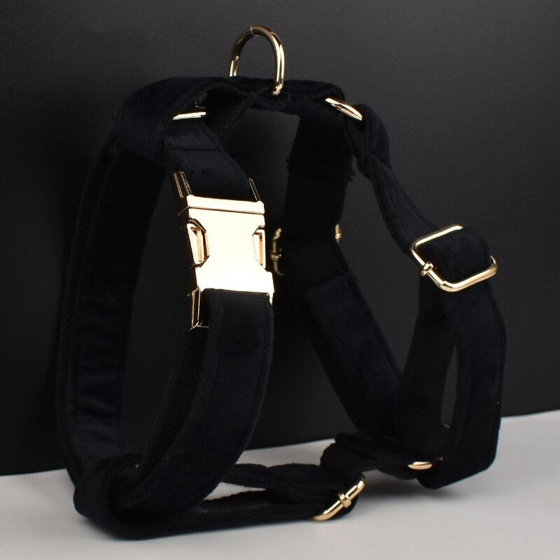 Black Gold Personalised Dog Collar, Matching Dog Harness and Leash Set, Removable Bowtie and Poop Bag Holder