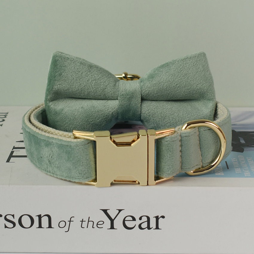Personalised Sage GREEN Thick Velvet Girl or Boy Dog Collar, Harness, and Leash Set with Detachable Matching Bowtie Flower