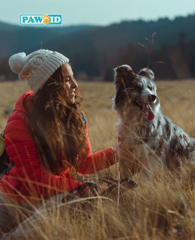Have You Tagged Your Best Friend?