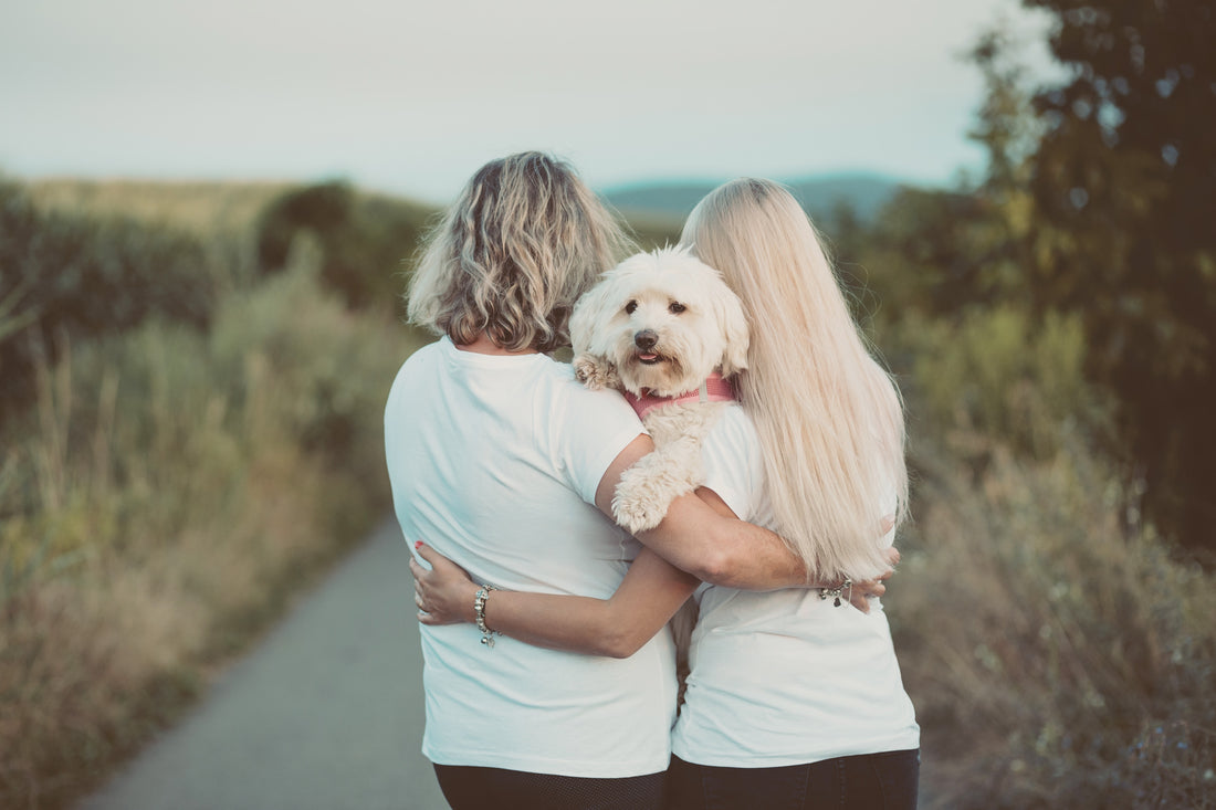 Simple Tips On How To Choose The Right Dog For You