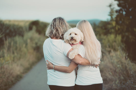 Simple Tips On How To Choose The Right Dog For You