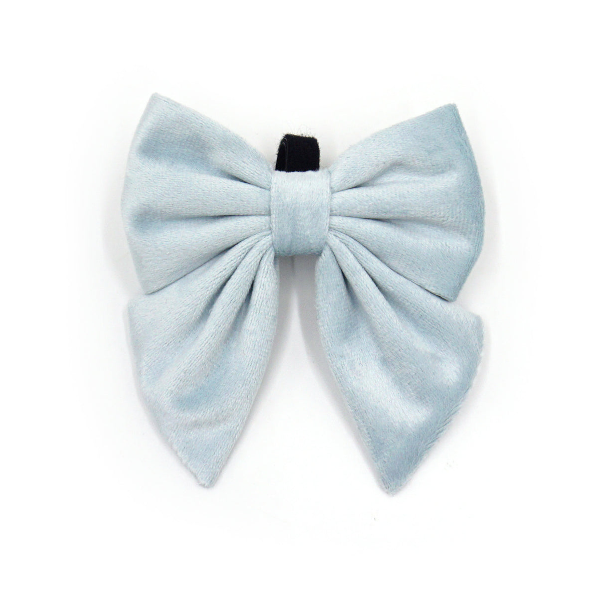 Velvet dog sailor bow