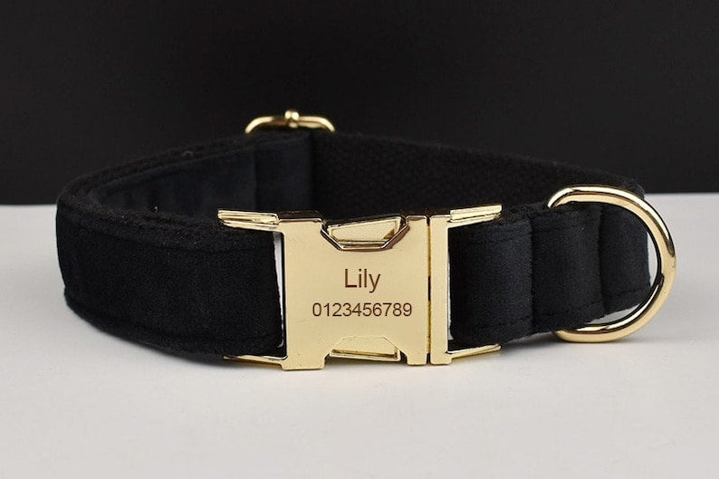 Black Gold Personalised Dog Collar, Matching Dog Harness and Leash Set, Removable Bowtie and Poop Bag Holder