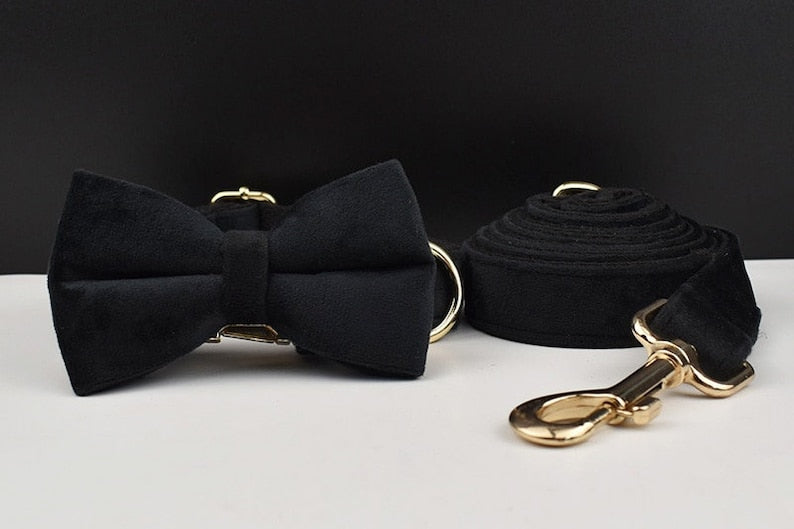 Black Gold Personalised Dog Collar, Matching Dog Harness and Leash Set, Removable Bowtie and Poop Bag Holder