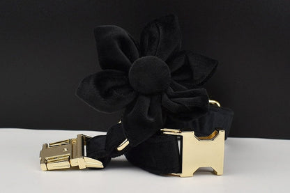 Black Gold Personalised Dog Collar, Matching Dog Harness and Leash Set, Removable Bowtie and Poop Bag Holder