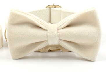 Custom Girl Cream White Personalised Dog Collar, Matching Dog Bowtie, Dog Leash, Dog Harness and Dog Poop Bag