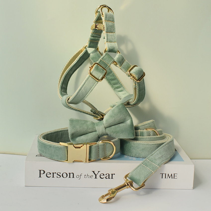 Personalised Sage GREEN Thick Velvet Girl or Boy Dog Collar, Harness, and Leash Set with Detachable Matching Bowtie Flower