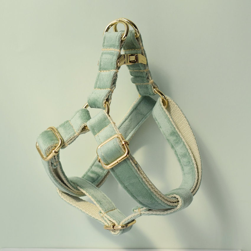 Personalised Sage GREEN Thick Velvet Girl or Boy Dog Collar, Harness, and Leash Set with Detachable Matching Bowtie Flower