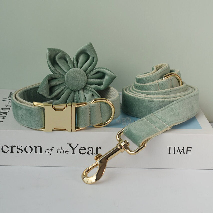 Personalised Sage GREEN Thick Velvet Girl or Boy Dog Collar, Harness, and Leash Set with Detachable Matching Bowtie Flower