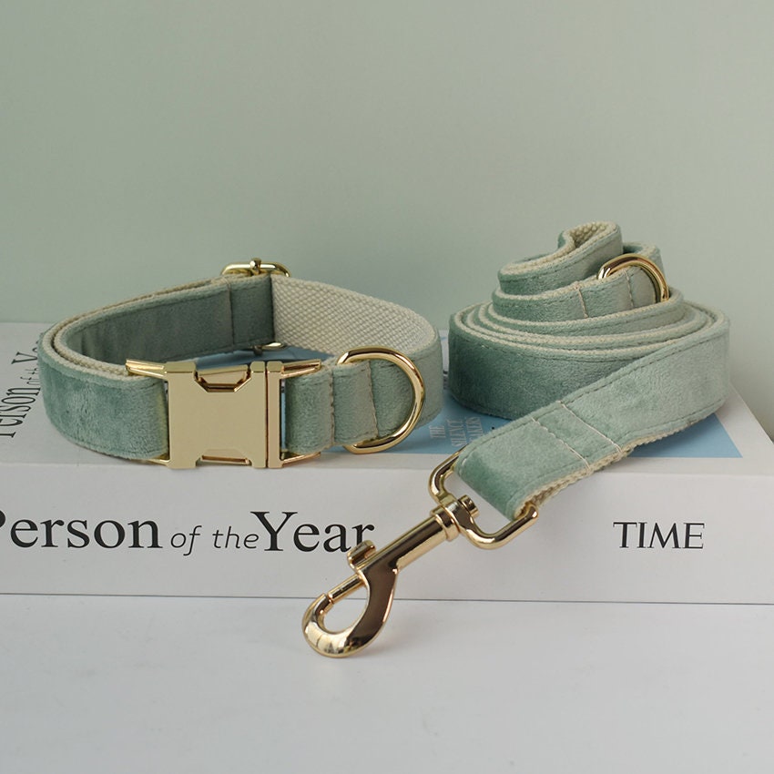 Personalised Sage GREEN Thick Velvet Girl or Boy Dog Collar, Harness, and Leash Set with Detachable Matching Bowtie Flower