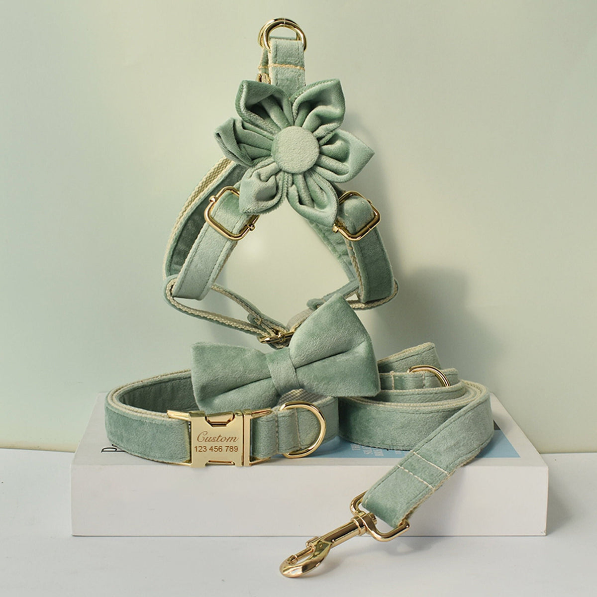 Personalised Sage GREEN Thick Velvet Girl or Boy Dog Collar, Harness, and Leash Set with Detachable Matching Bowtie Flower