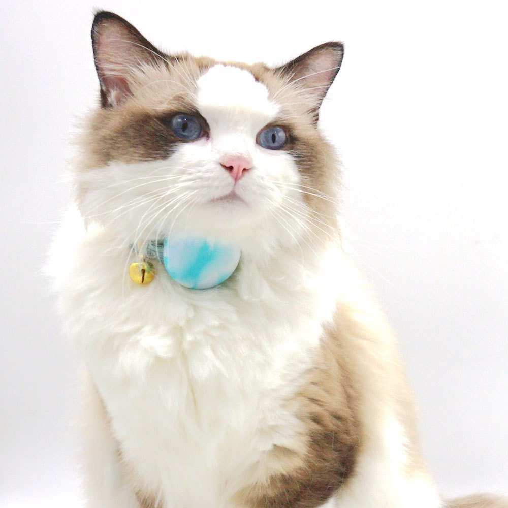 Personalised Airtag Holder Collar Attachment, Silicone Shell Cover for Airtag Cat and Dog Collar, Blue, Red, Green *AirTag not included