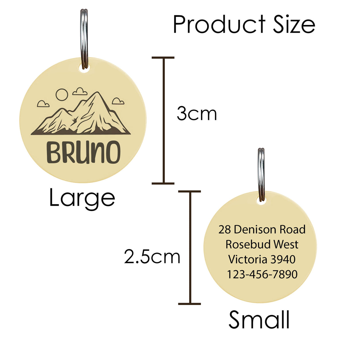 Customised Stainless Steel Pet ID Tag - Personalised with Your Pet's Name and Contact - Front and Back Engraving for Dogs and Cats