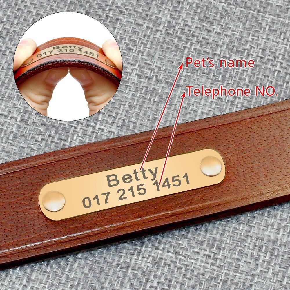 Leather dog collar Personalised classic genuine brown leather (gold/silver buckle) * custom dog collar with nameplate