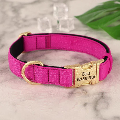 Personalised Waterproof Dog Collar, Custom Name Collar in Red, Pink, Black, Blue, Purple, Gold dog collar, Soft Padded Luxury Dog Collar, AU