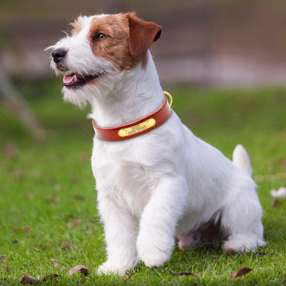 Genuine Leather Personalised Dog collar