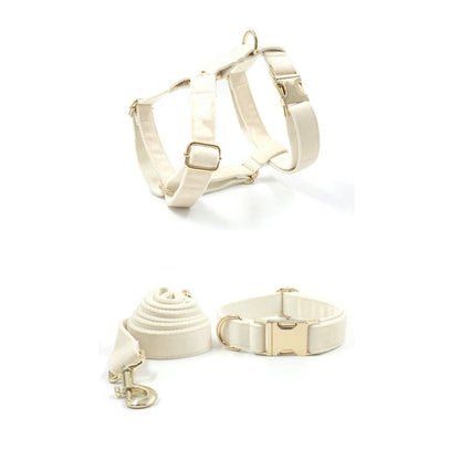 Cream White Dog Matching Combo Set