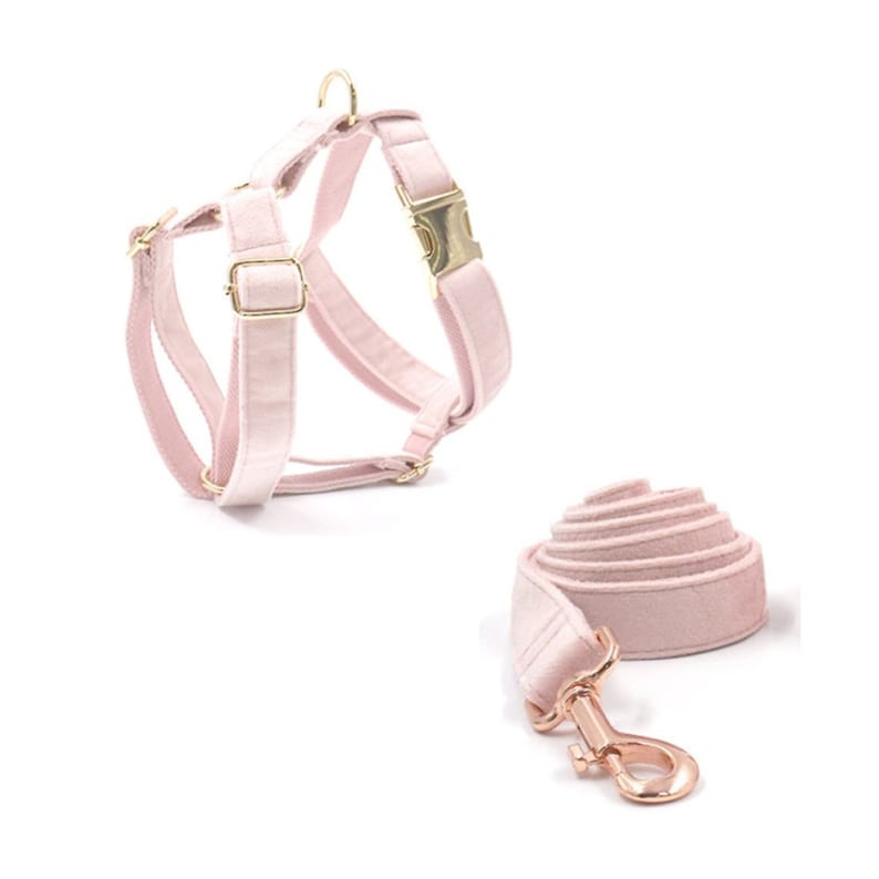 Custom Girl Baby Pink Dog Collar Set