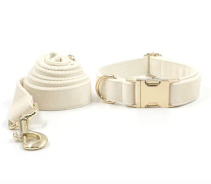 Cream White Dog Matching Combo Set