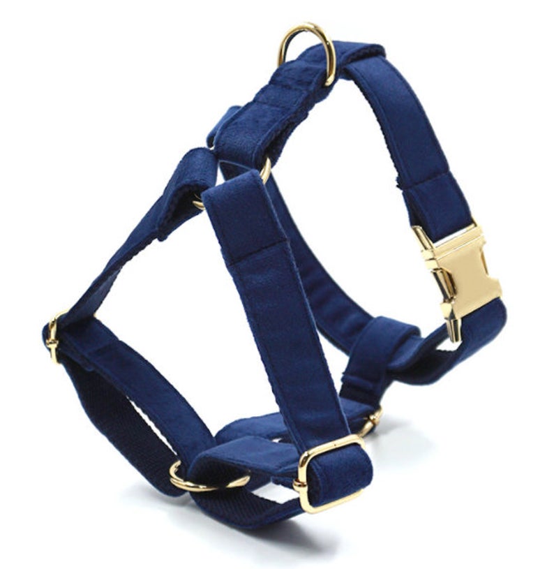 Custom Navy Blue Gold Personalised Dog Combo