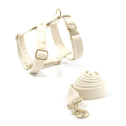Cream White Dog Matching Combo Set