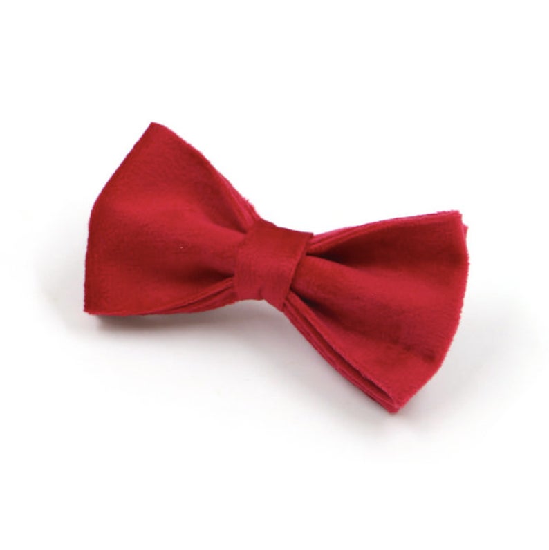 Red and Gold Personalised Dog Matching Combo