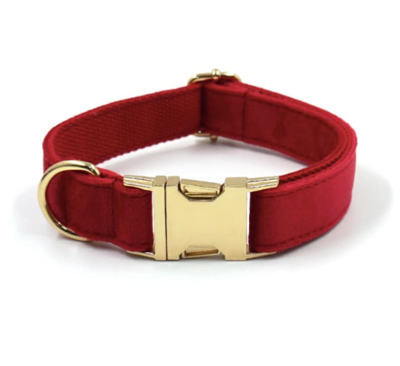 Red and Gold Personalised Dog Matching Combo