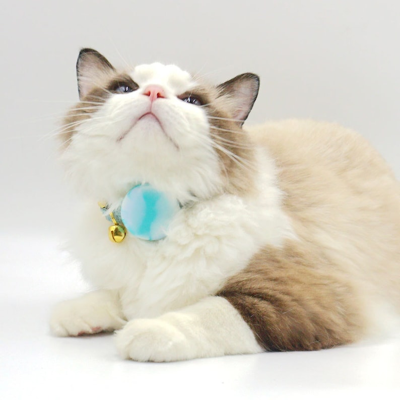 Personalised Airtag Holder Collar Attachment, Silicone Shell Cover for Airtag Cat and Dog Collar, Blue, Red, Green, Yellow, Pink, Black
