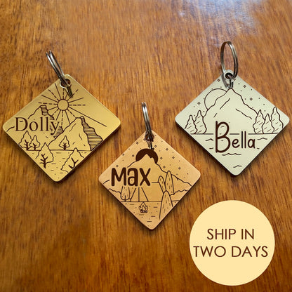 Customised Stainless Steel Pet ID Tag - Personalised with Your Pet's Name and Contact - Front and Back Engraving for Dogs and Cats