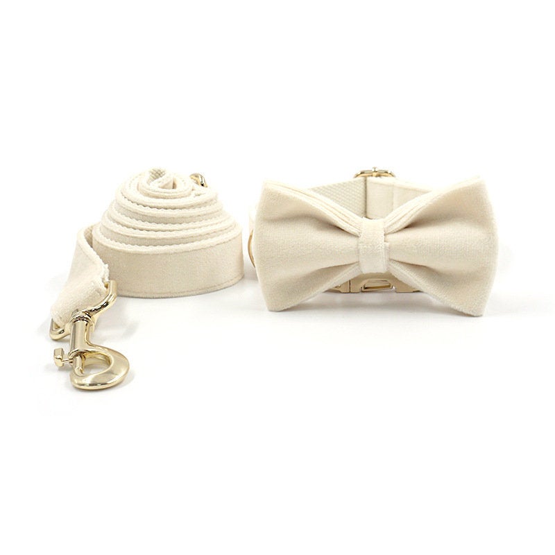 Cream White Dog Matching Combo Set