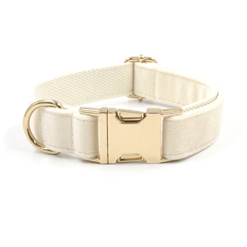 Cream White Dog Matching Combo Set