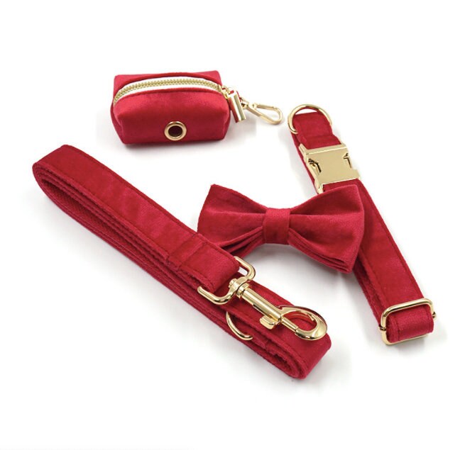 Red and Gold Personalised Dog Matching Combo