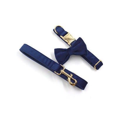 Custom Navy Blue Gold Personalised Dog Combo