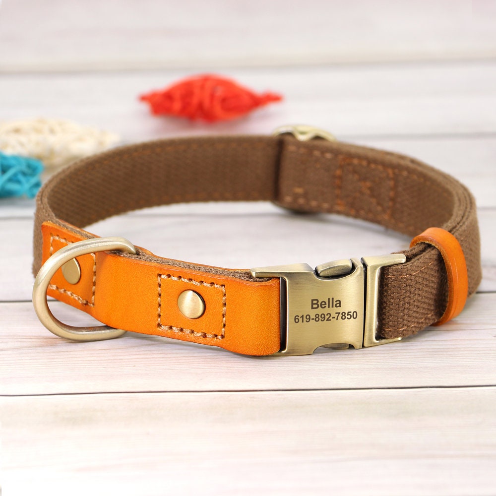 Nylon and Cow Leather Dog Collar with Matching 5ft Leash