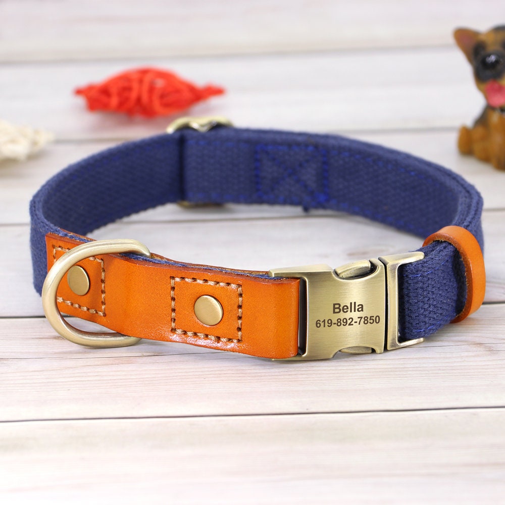Nylon and Cow Leather Dog Collar with Matching 5ft Leash