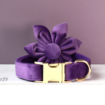 Purple Personalised Dog Collar Combo Set, Matching Bowtie, Leash and Harness