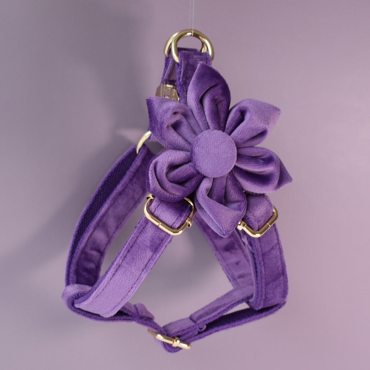 Purple Personalised Dog Collar Combo Set, Matching Bowtie, Leash and Harness