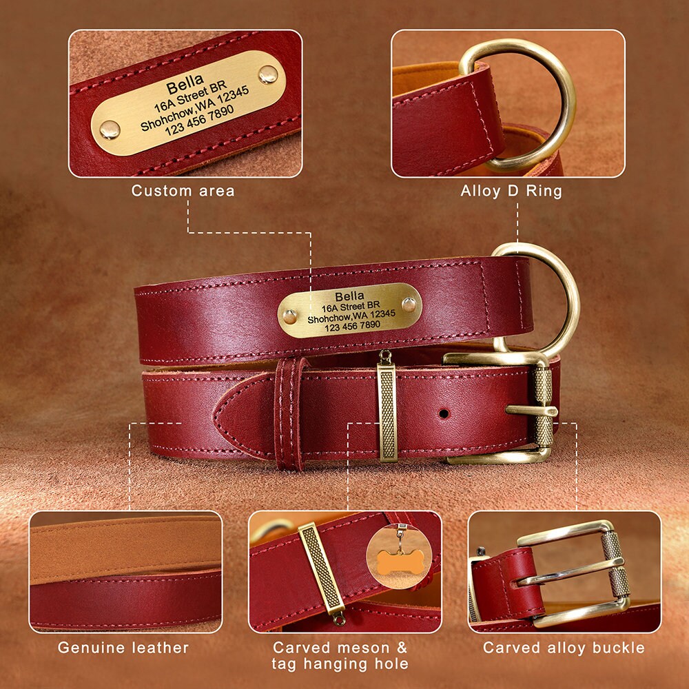 Upgraded Genuine Leather Personalised Dog Collar with Name Plate and Matching Leash