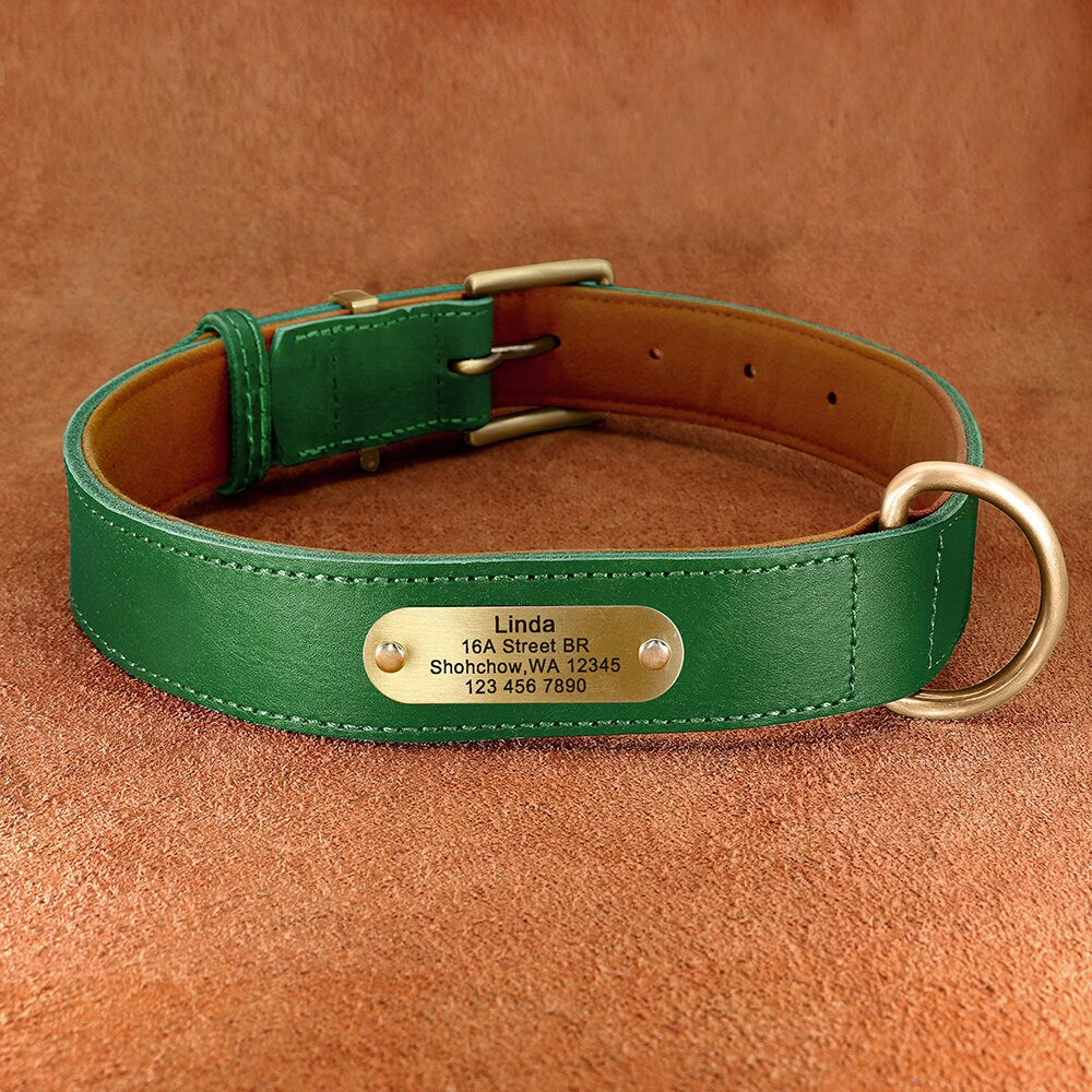Upgraded Genuine Leather Personalised Dog Collar with Name Plate and Matching Leash