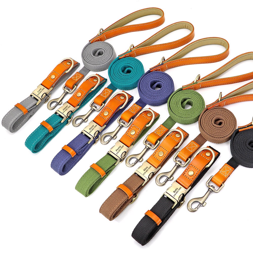 Nylon and Cow Leather Dog Collar with Matching 5ft Leash