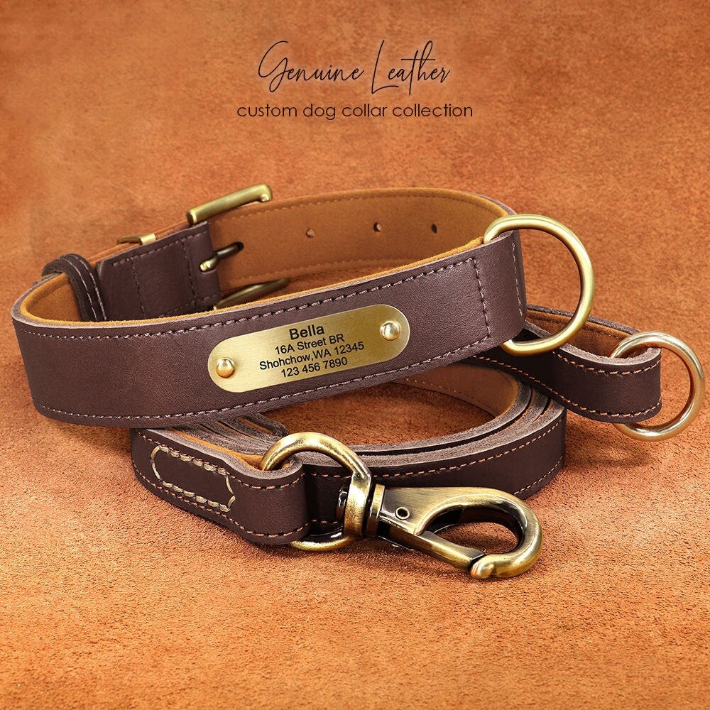 Upgraded Genuine Leather Personalised Dog Collar with Name Plate and Matching Leash