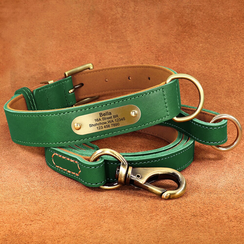 Upgraded Genuine Leather Personalised Dog Collar with Name Plate and Matching Leash