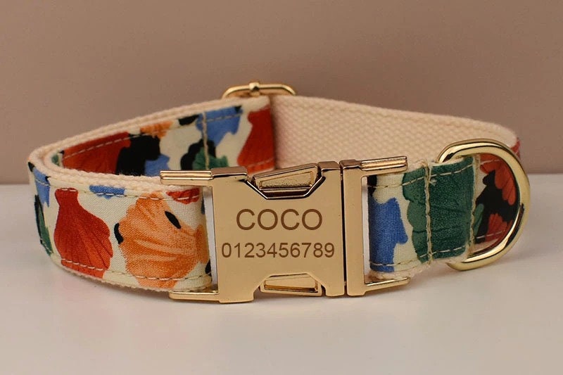 Colorful Shell Prints Dog and Lead Set, Step-In Harness, Bowtie